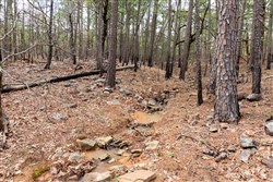 property photo for Stone Bridge Phase III Tract 196, 19.43 acres for sale in LatimerHaskell County, Oklahoma