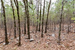 property photo for Stone Bridge Phase III Tract 196, 19.43 acres for sale in LatimerHaskell County, Oklahoma