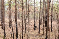 property photo for Stone Bridge Phase III Tract 199, 17.94 acres for sale in LatimerHaskell County, Oklahoma