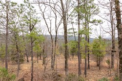 property photo for Stone Bridge Phase III Tract 201, 10.23 acres for sale in LatimerHaskell County, Oklahoma
