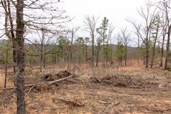 property photo for Stone Bridge Phase III Tract 201, 10.23 acres for sale in LatimerHaskell County, Oklahoma