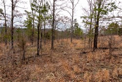 property photo for Stone Bridge Phase III Tract 201, 10.23 acres for sale in LatimerHaskell County, Oklahoma