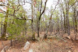 property photo for Stone Bridge Phase III Tract 210, 18.74 acres for sale in LatimerHaskell County, Oklahoma
