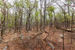 property photo for Stone Bridge Phase III Tract 210, 18.74 acres for sale in LatimerHaskell County, Oklahoma