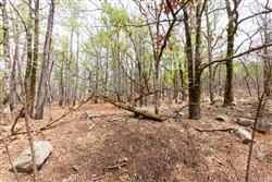 property photo for Stone Bridge Phase III Tract 210, 18.74 acres for sale in LatimerHaskell County, Oklahoma