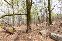 property photo for Stone Bridge Phase III Tract 210, 18.74 acres for sale in LatimerHaskell County, Oklahoma