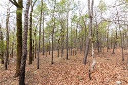 property photo for Stone Bridge Phase III Tract 210, 18.74 acres for sale in LatimerHaskell County, Oklahoma