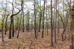 property photo for Stone Bridge Phase III Tract 210, 18.74 acres for sale in LatimerHaskell County, Oklahoma