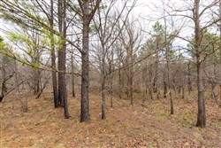 property photo for Stone Bridge Phase III Tract 211, 23.7 acres for sale in LatimerHaskell County, Oklahoma