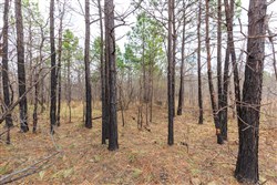 property photo for Stone Bridge Phase III Tract 211, 23.7 acres for sale in LatimerHaskell County, Oklahoma