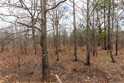 property photo for Stone Bridge Phase III Tract 211, 23.7 acres for sale in LatimerHaskell County, Oklahoma