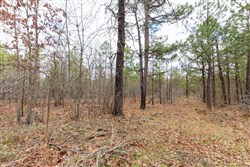 property photo for Stone Bridge Phase III Tract 211, 23.7 acres for sale in LatimerHaskell County, Oklahoma