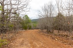 property photo for Stone Bridge Phase III Tract 219, 16.8 acres for sale in LatimerHaskell County, Oklahoma