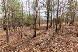 property photo for Stone Bridge Phase III Tract 219, 16.8 acres for sale in LatimerHaskell County, Oklahoma