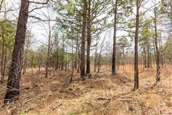 property photo for Stone Bridge Phase III Tract 219, 16.8 acres for sale in LatimerHaskell County, Oklahoma