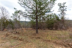 property photo for Stone Bridge Phase III Tract 219, 16.8 acres for sale in LatimerHaskell County, Oklahoma