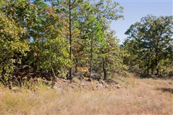 property photo for Stone Creek Phase I Tract 173, 15.01 acres for sale in Latimer County, Oklahoma