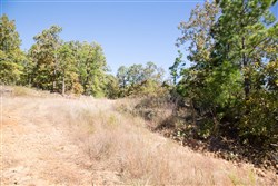 property photo for Stone Creek Phase I Tract 173, 15.01 acres for sale in Latimer County, Oklahoma