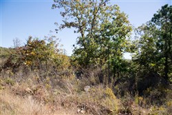 property photo for Stone Creek Phase I Tract 173, 15.01 acres for sale in Latimer County, Oklahoma