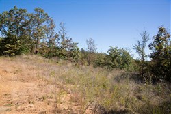 property photo for Stone Creek Phase I Tract 173, 15.01 acres for sale in Latimer County, Oklahoma