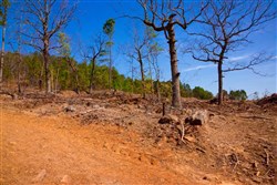 property photo for Stone Creek Phase II Tract 116, 6.19 acres for sale in Latimer County, Oklahoma