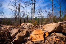 property photo for Stone Creek Phase II Tract 116, 6.19 acres for sale in Latimer County, Oklahoma