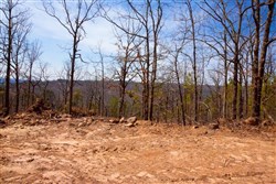 property photo for Stone Creek Phase II Tract 116, 6.19 acres for sale in Latimer County, Oklahoma