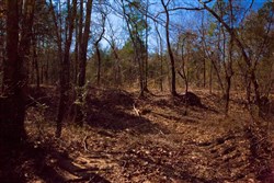 property photo for Stone Creek Phase II Tract 127, 4.63 acres for sale in Latimer County, Oklahoma