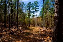 property photo for Stone Creek Phase II Tract 191, 5.81 acres for sale in Latimer County, Oklahoma