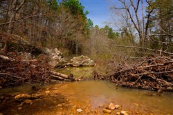 property photo for Stone Creek Phase II Tract 191, 5.81 acres for sale in Latimer County, Oklahoma
