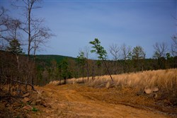 property photo for Stone Creek Phase II Tract 203, 21.3 acres for sale in Latimer County, Oklahoma