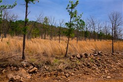 property photo for Stone Creek Phase II Tract 203, 21.3 acres for sale in Latimer County, Oklahoma