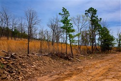property photo for Stone Creek Phase II Tract 203, 21.3 acres for sale in Latimer County, Oklahoma