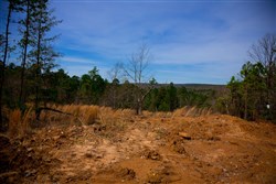 property photo for Stone Creek Phase II Tract 203, 21.3 acres for sale in Latimer County, Oklahoma