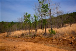 property photo for Stone Creek Phase II Tract 203, 21.3 acres for sale in Latimer County, Oklahoma