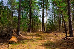 property photo for Stone Creek Phase II Tract 210, 10.38 acres for sale in Latimer County, Oklahoma