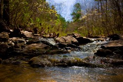 property photo for Stone Creek Phase II Tract 210, 10.38 acres for sale in Latimer County, Oklahoma