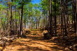property photo for Stone Creek Phase II Tract 214, 15.9 acres for sale in Latimer County, Oklahoma