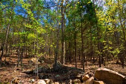 property photo for Stone Creek Phase II Tract 214, 15.9 acres for sale in Latimer County, Oklahoma