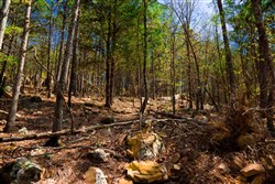 property photo for Stone Creek Phase II Tract 214, 15.9 acres for sale in Latimer County, Oklahoma