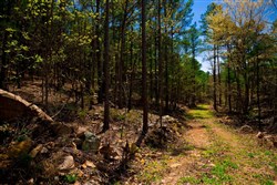 property photo for Stone Creek Phase II Tract 214, 15.9 acres for sale in Latimer County, Oklahoma