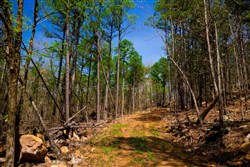 property photo for Stone Creek Phase II Tract 214, 15.9 acres for sale in Latimer County, Oklahoma