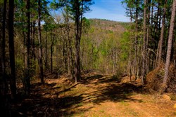 property photo for Stone Creek Phase II Tract 217, 6.98 acres for sale in Latimer County, Oklahoma