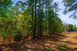 property photo for Stone Creek Phase II Tract 217, 6.98 acres for sale in Latimer County, Oklahoma