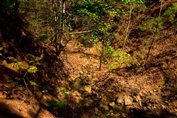 property photo for Stone Creek Phase II Tract 217, 6.98 acres for sale in Latimer County, Oklahoma