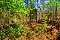 property photo for Stone Creek Phase II Tract 217, 6.98 acres for sale in Latimer County, Oklahoma