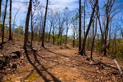 property photo for Stone Creek Phase II Tract 221, 5.69 acres for sale in Latimer County, Oklahoma