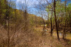 property photo for Stone Creek Phase II Tract 221, 5.69 acres for sale in Latimer County, Oklahoma