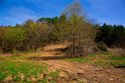 property photo for Stone Creek Phase II Tract 223, 3.97 acres for sale in Latimer County, Oklahoma