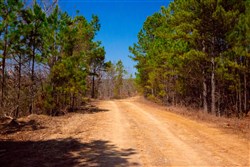 property photo for Stone Creek Phase II Tract 98, 9.71 acres for sale in Latimer County, Oklahoma